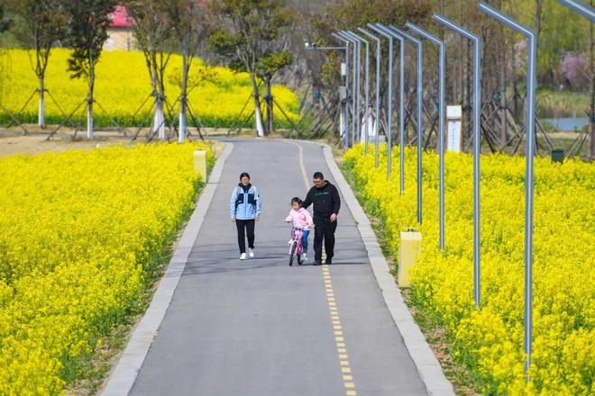 收藏！这个假期这么玩j9九游会网址是什么(图9)