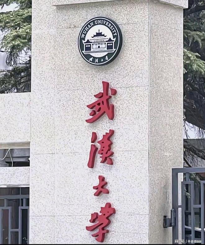 了武大的遮羞布！是谁制造了这起事件九游会j9ag一句“滚出湖北”揭开(图2)