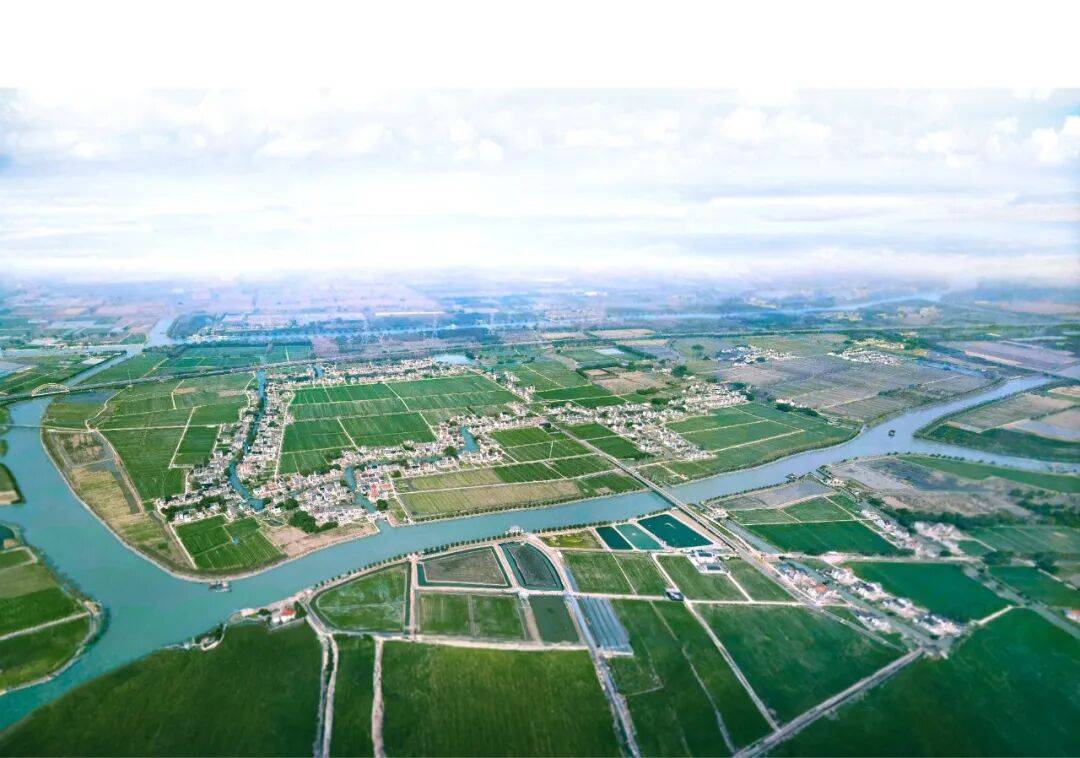 沪派江南打开超大城市乡村文化叙事的窗(图1)