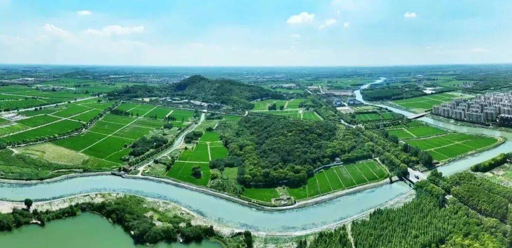 沪派江南打开超大城市乡村文化叙事的窗(图2)